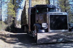 TG1