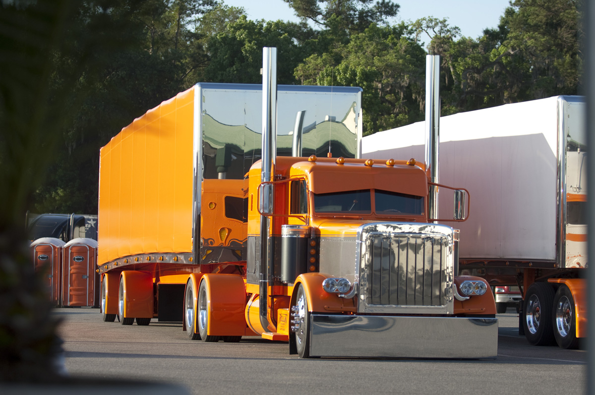 Small Widlwood 75 Chrome09 071