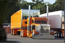 Small Widlwood 75 Chrome09 071