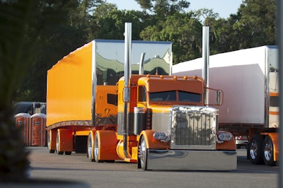 Small Widlwood 75 Chrome09 071