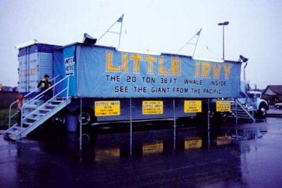 Little Irvy Full Display Side 1 Vi