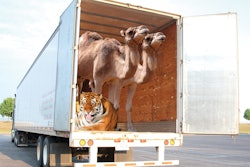 Open Trailer