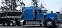 Old Blue