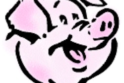 Pig 03