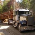 1996 Kenworth1