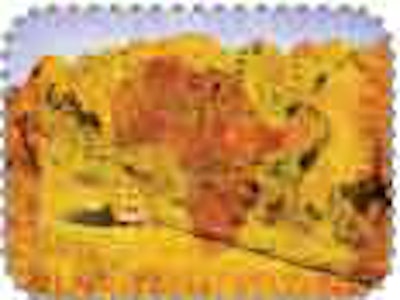 Lives Lost Untitled 1