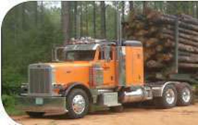 Orange Crush Untitled 1