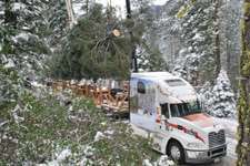 The Capitol Christmas tree is loaded on a trailer pulled by a Mack Pinnacle before its trip to Washington, D.C.