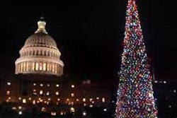 Christmas tree on west lawn of U.S. Capitol