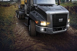 Cat Navistar Untitled 1