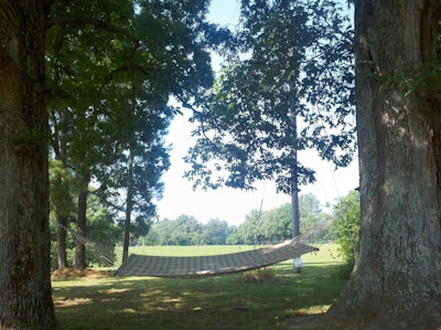 Hammock Shot