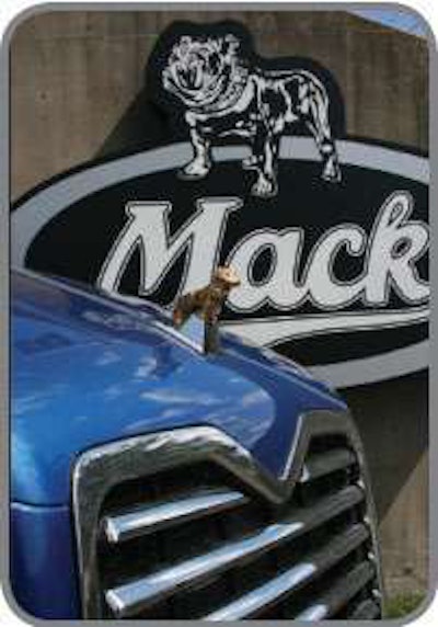 Mack Bulldog Untitled 1