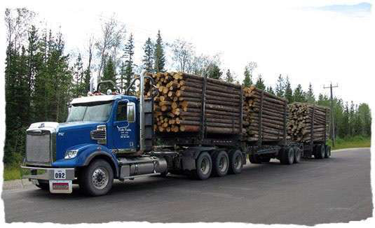 Freightliner Coronado Log Haul