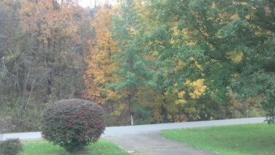 James Morton Driveway In Fall