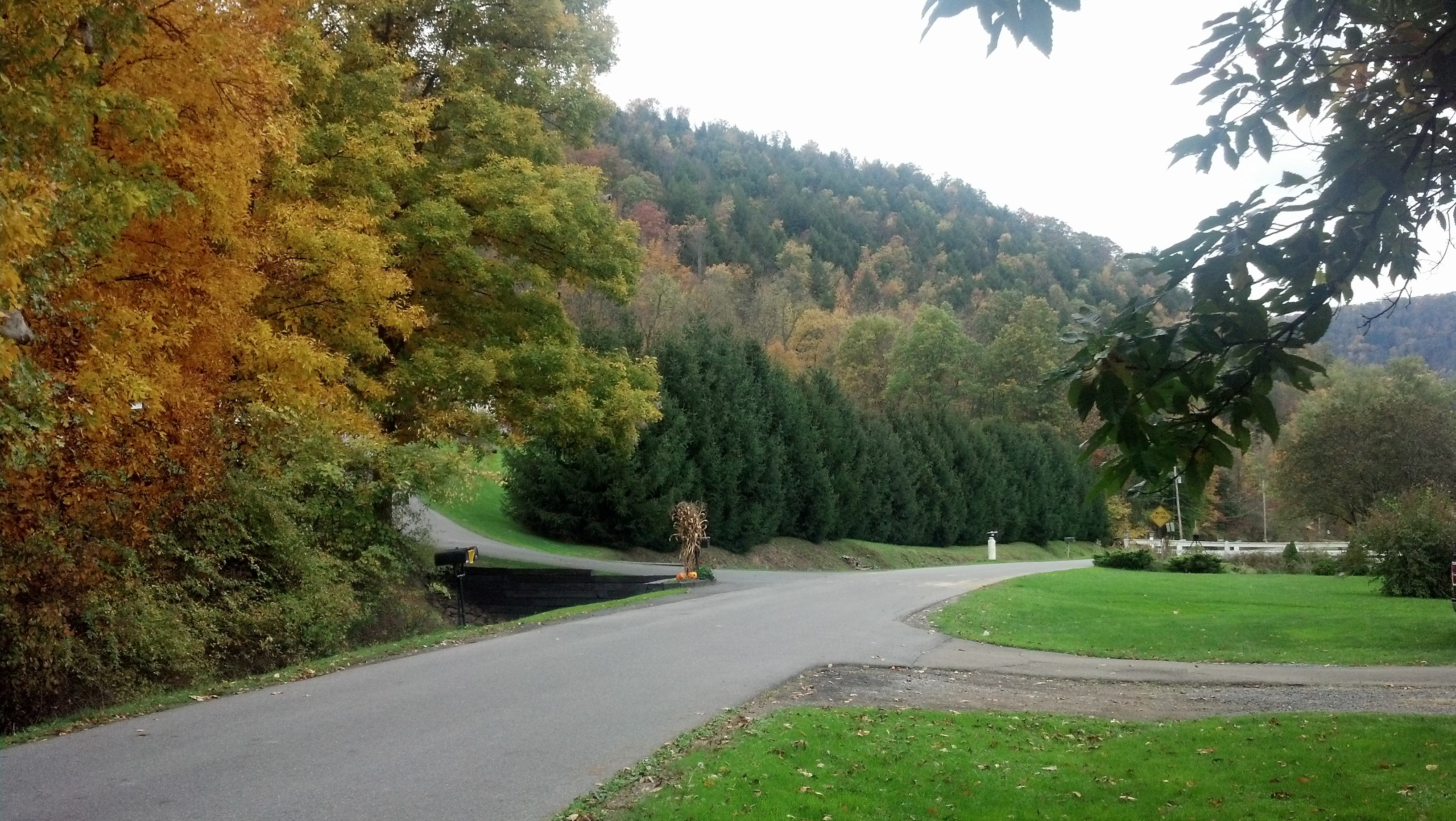James Morton street in fall