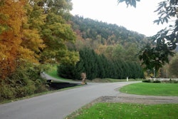 James Morton street in fall