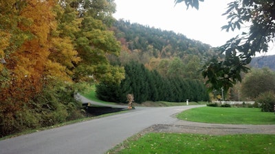 James Morton Street In Fall