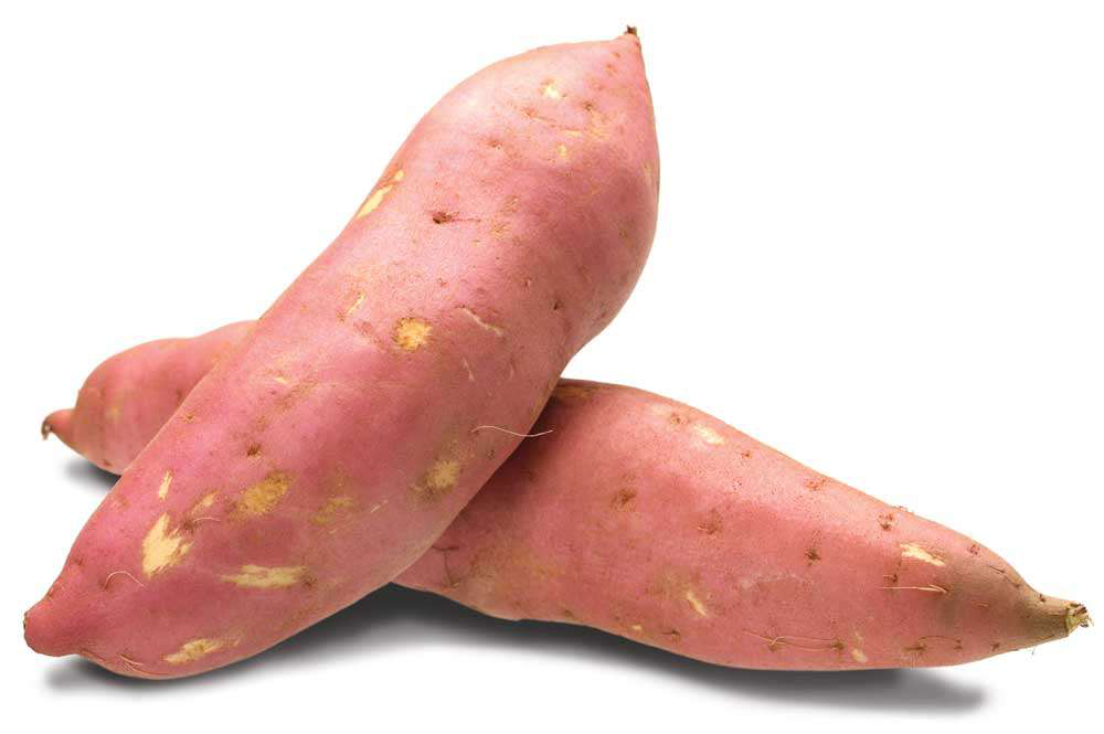 Sweetpotato