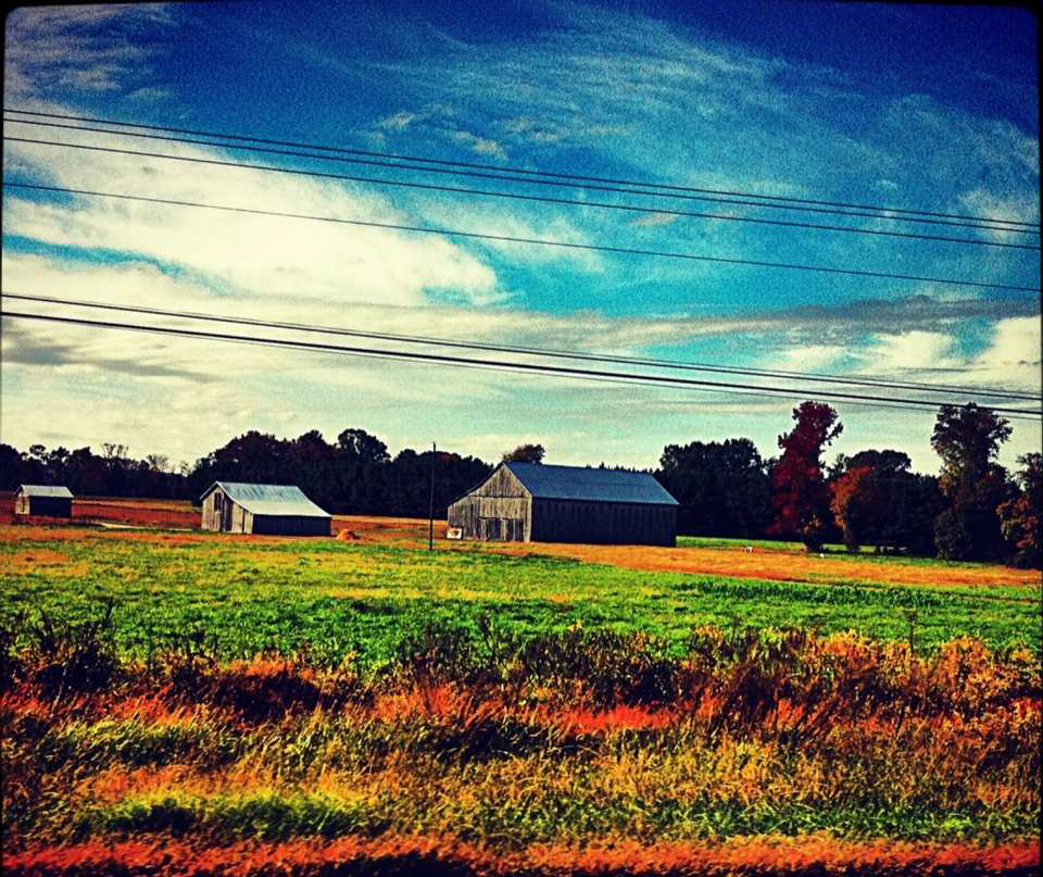 David Adorno By The Roadside In Maryland