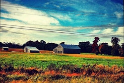 David Adorno By The Roadside In Maryland