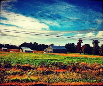 David Adorno By The Roadside In Maryland