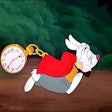 Rabbit Hole