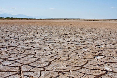 Salton