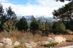 Shasta View