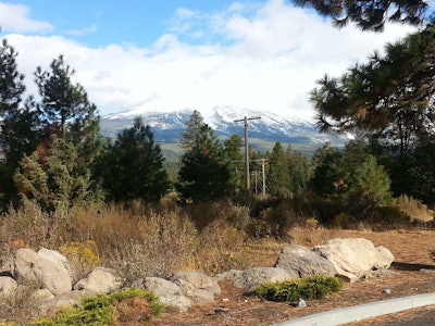 Shasta View