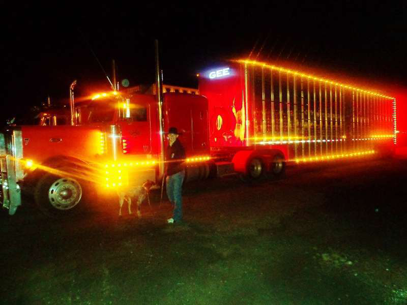 Bull Hauleruse 800x600