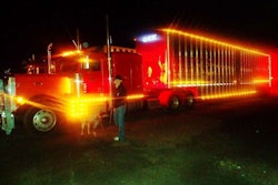 Bull Hauleruse 800x600