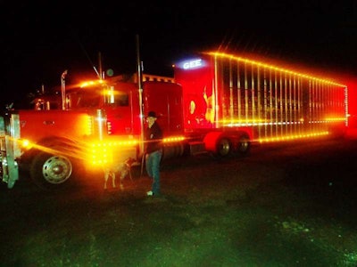 Bull Hauleruse 800x600