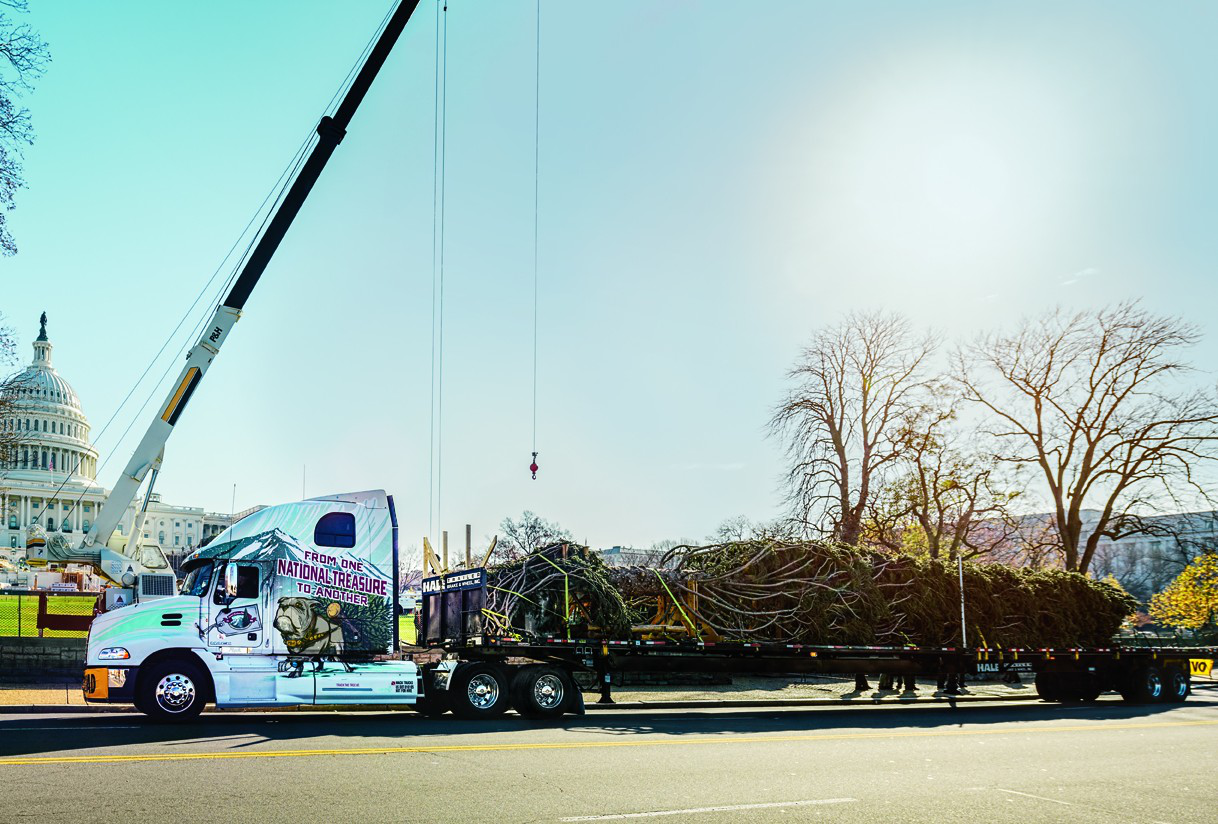 Capitol Xmas Tree Jsr96 A1 F40 E1354805004262
