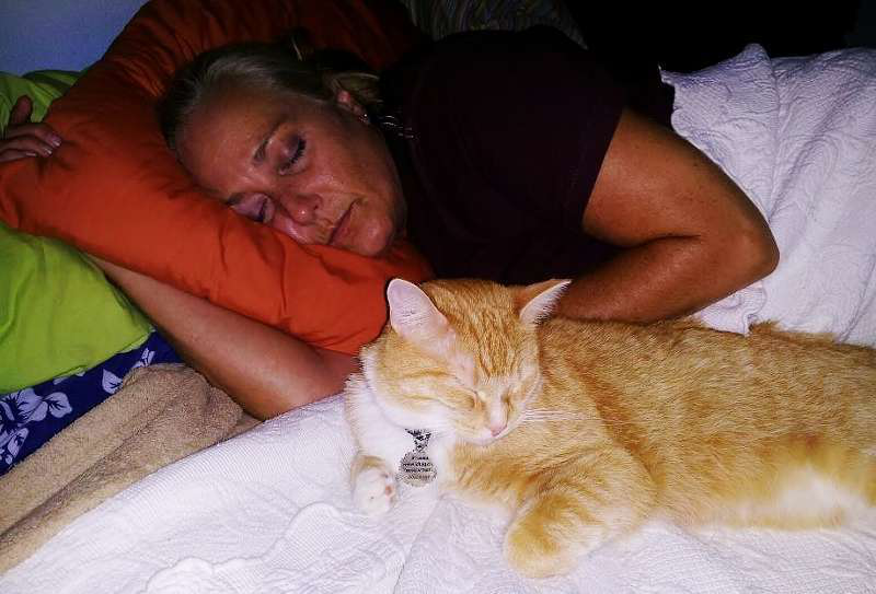 Wendy Asleep 800x543