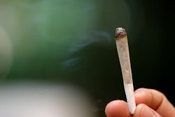 marijuana 2