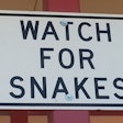 Watch For Snakes Edit