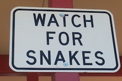 Watch For Snakes Edit
