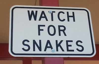 Watch For Snakes Edit