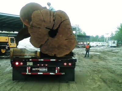 Reader C. Dunnington hauled these massive cedar logs “to Bellingham, Wash., out of Canada via Bonners Ferry, Idaho,” he says. The yellow cedars “were estimated at four to six hundred years old. They were found in water, and it was estimated that they had been in the water for at least 100 years! The log on the back was nine feet, eight inches across at the widest point.”
