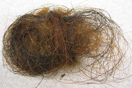 Hair Ball