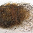 Hair Ball