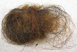 Hair Ball