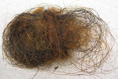 Hair Ball