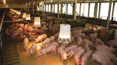 hog farm