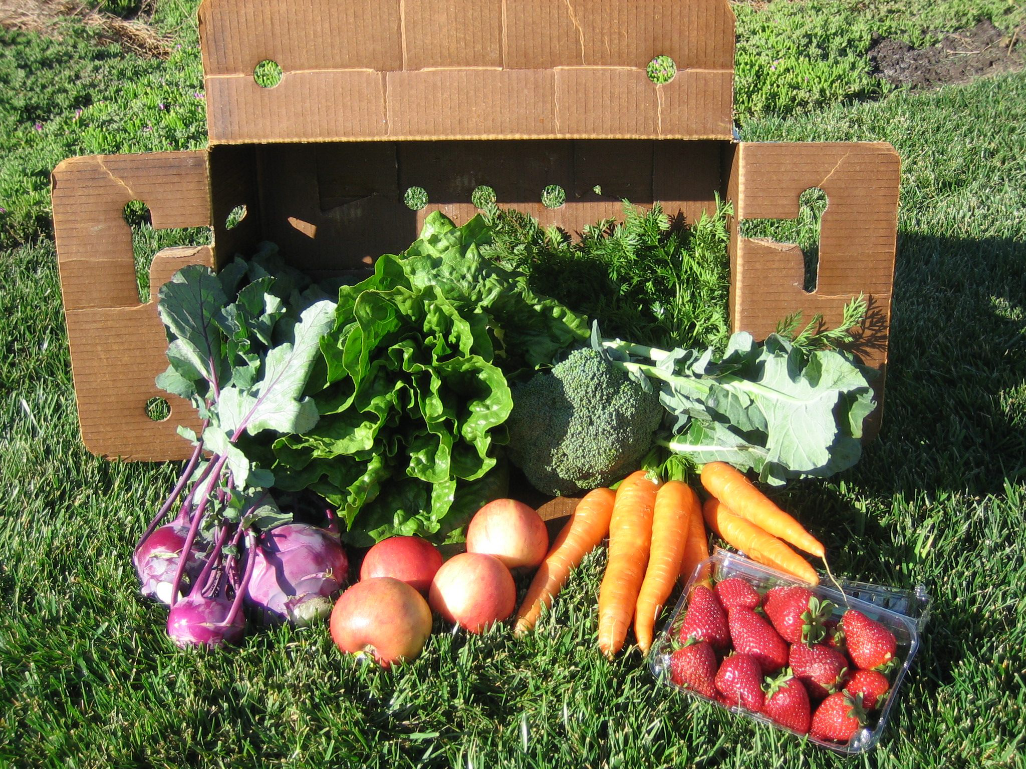 CSA veggie box