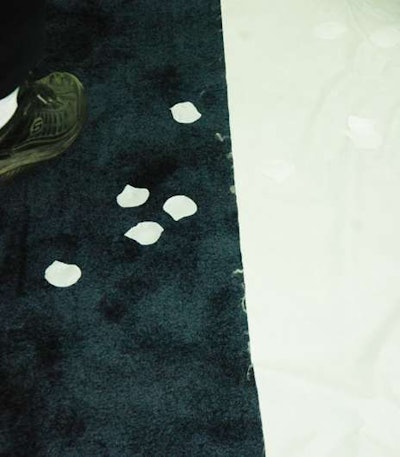 White petals covered the aisle where the couple walked to get married.