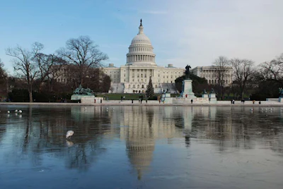 (Photo: Adam Williams / Flickr)