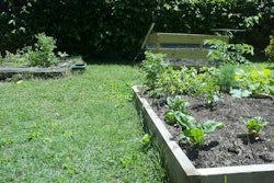 Backyard garden