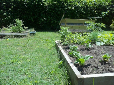 Unless you’re growing it yourself in a backyard garden, organic produce can be pricey — or not, depending on what’s in season in your area and other factors.