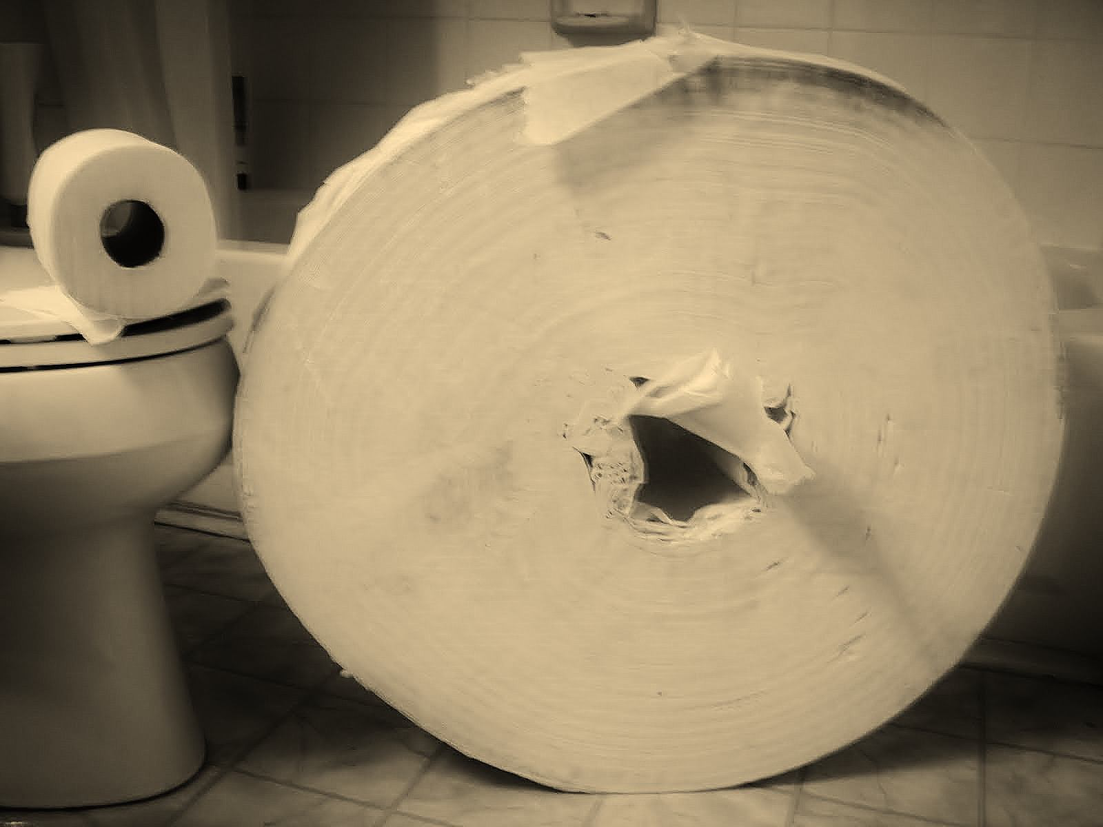 Giant toilet paper
